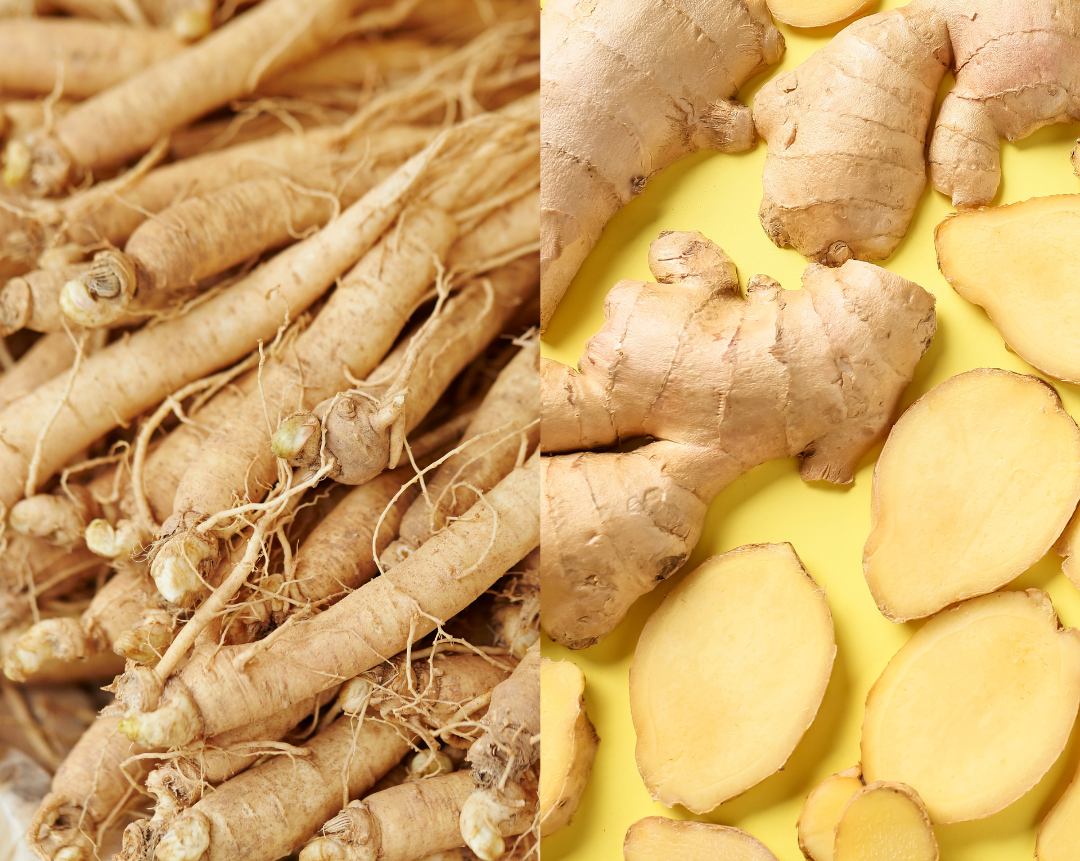 Ginseng vs. Ginger Comparing the Two Roots Modern Dose