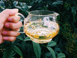 honey chamomile tea - moderndose.com