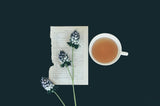 american ginseng tea - moderndose.com